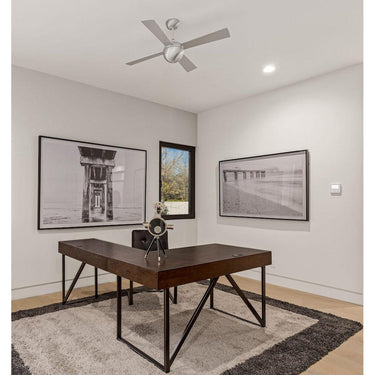 Modern Fan BAL-52-NL Ball 52" Fan 10