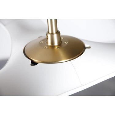 Modern Fan BRI-56 IC/Brisa DC 56" Fan 20