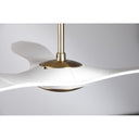 Modern Fan BRI-56 IC/Brisa DC 56" Fan 21