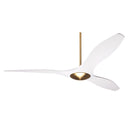 Modern Fan BRI-56 IC/Brisa DC 56" Fan 3