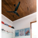 Modern Fan IC3-56-NL IC/Air 3 Blade DC 56" Fan No Light 20