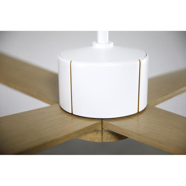 Modern Fan NOU-56-271 Nouveau DC 56" Fan w/ Light 21