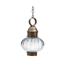 Northeast Lantern 2042-MED Onion Hanging No Cage Medium Base Soket 9