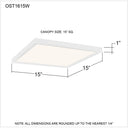 Outskirts OST1615 Flush Mount 8