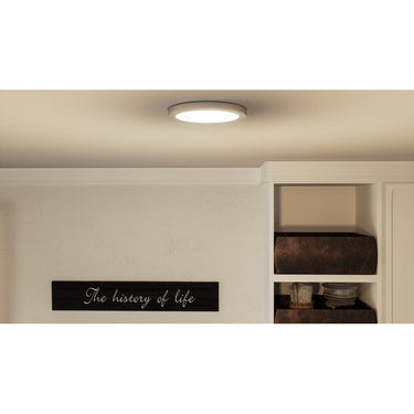 Outskirts OST1708 Flush Mount 6