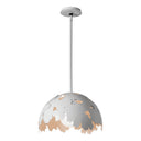 Pangea 1-Light Pendant 5
