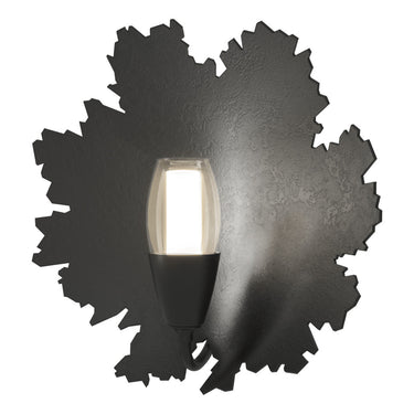 Pangea 1-Light Sconce 9