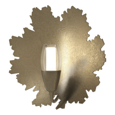 Pangea 1-Light Sconce 13