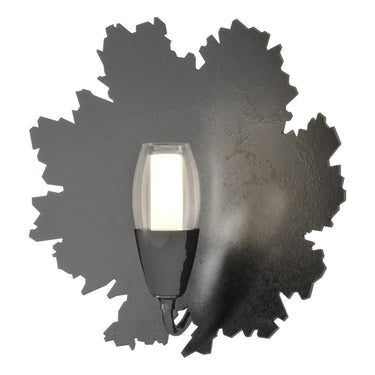 Pangea 1-Light Sconce 16
