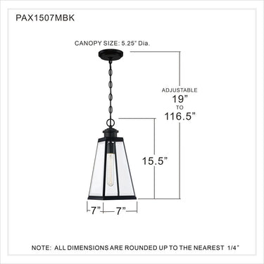 Paxton 1 Light Mini Pendant in Matte Black 2
