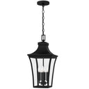 Quentin 4 Light Outdoor Pendant in Earth Black 1