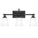 Quoizel NL8603 Nicholas 3 Light Bath Light - Crescent Harbor