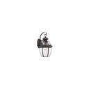Quoizel NY8316 Newbury 1 Light Outdoor Lantern - Crescent Harbor