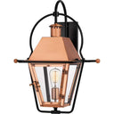 Quoizel RO8418 Rue De Royal 1 Light Outdoor Lantern - Crescent Harbor