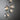 Riza 5-Light Pendant 1