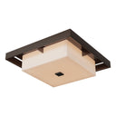 Shadow Box Large Outdoor Flush Mount 10