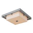 Shadow Box Large Outdoor Flush Mount 14