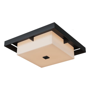 Shadow Box Large Outdoor Flush Mount 16