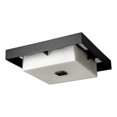 Shadow Box Small Outdoor Flush Mount 1