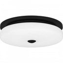 Tavani Flush Mount-TAV1615MBK