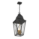 The Great Outdoors Cardigan 4 Light Outdoor Pendant - 73357-757 2