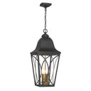 The Great Outdoors Cardigan 4 Light Outdoor Pendant - 73357-757 3