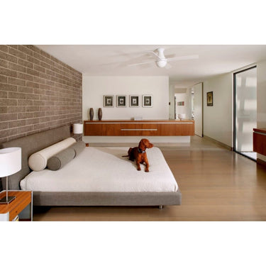The Modern Fan Company Ball Flush Fan 12