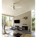 The Modern Fan Company Lapa Fan 25