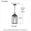 Thorpe 1 Light Mini Pendant in Mottled Black 2
