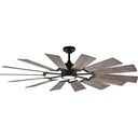 Visual Comfort Studio 14PRR62AGPD Prairie 62" LED Ceiling Fan in Aged Pewter