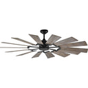 Visual Comfort Studio 14PRR62AGPD Prairie 62" LED Ceiling Fan in Aged Pewter