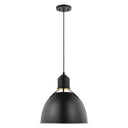 Visual Comfort Studio 6680301 One Light Medium Pendant