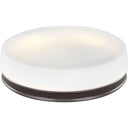 Visual Comfort Studio FM504 Flush Mount