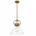 Webster Pendant-WBS1512WS 1