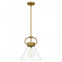 Webster Pendant-WBS1512WS 4