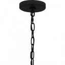 Wilkins Chandelier-WIL502 9