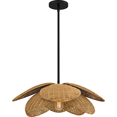 Willa 1 Light Pendant in Matte Black 1
