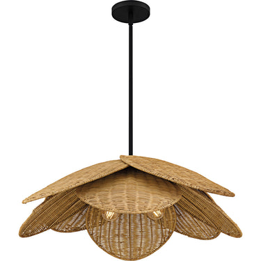 Willa 4 Light Pendant in Matte Black 2
