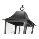 Z-Lite 10" Gannon 3 Light Outdoor Chain Mount Ceiling Fixture image 3