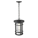 Z-Lite 10" Jordan 1 Light Outdoor Chain Mount Ceiling Fixture image 2