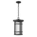 Z-Lite 10" Jordan 1 Light Outdoor Chain Mount Ceiling Fixture image 8