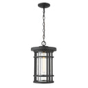 Z-Lite 10" Jordan 1 Light Outdoor Chain Mount Ceiling Fixture image