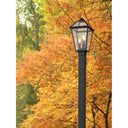 Z-Lite 113.5" High Talbot 3 Light Outdoor Post Mounted Fixture image 6