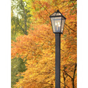 Z-Lite 113.5" High Talbot 3 Light Outdoor Post Mounted Fixture image 7