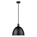 Z-Lite 12.5" Sawyer 1 Light Pendant image 4