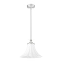 Z-Lite 12" Fleur 1 Light Pendant image 12