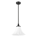 Z-Lite 12" Fleur 1 Light Pendant image 13