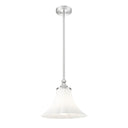 Z-Lite 12" Fleur 1 Light Pendant image 6