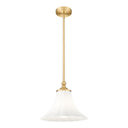 Z-Lite 12" Fleur 1 Light Pendant image 8