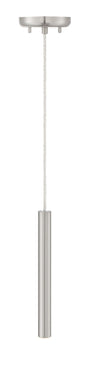 Z-Lite 12" High Forest 1 Light Pendant image 3